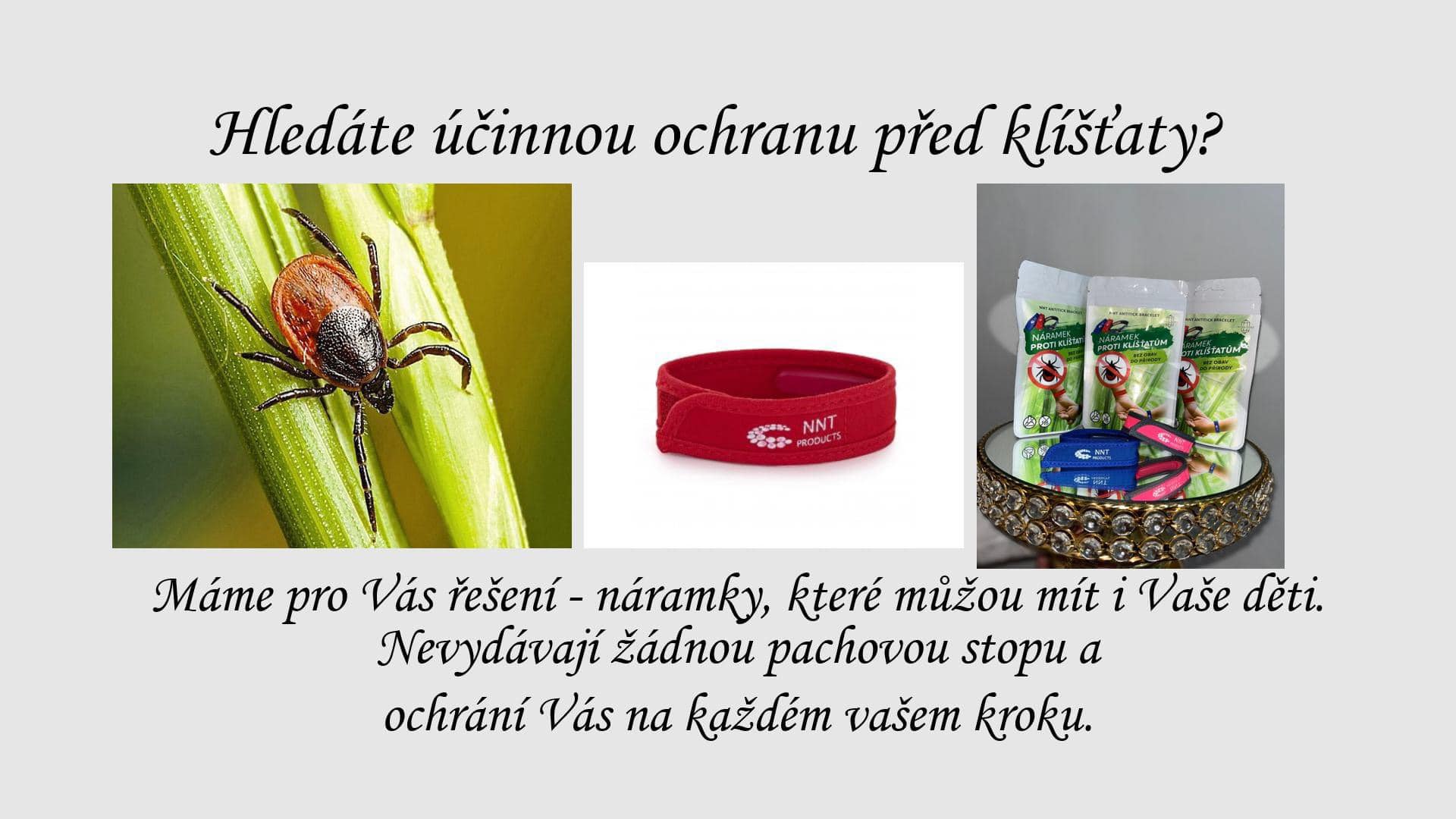 kalendarium / Kl&iacute;&scaron;�ata